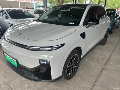 2025 Leapmotor B10 510 Joy Edition, фото 1, лот 10317386