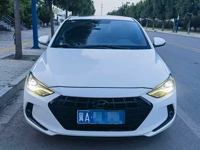2019 Hyundai Elantra 1.4T Dual-clutch XuanDong·Vitality Type, фото 2, лот 10373045