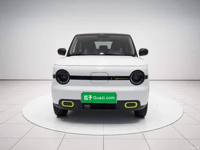2025 Geely Galaxy Panda mini 210km Vitality Bear, фото 2, лот 10430844