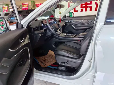 2022 Venucia Big V 260T Dark Horse Edition·Idol, фото 4, лот 11150282