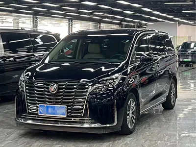 2023 Buick GL8 ES Landmaster Exclusive, фото 1, лот 10254770
