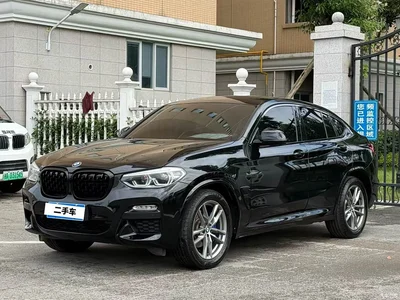 2019 BMW X4 xDrive25i M Sport Package, фото 1, лот 10476974