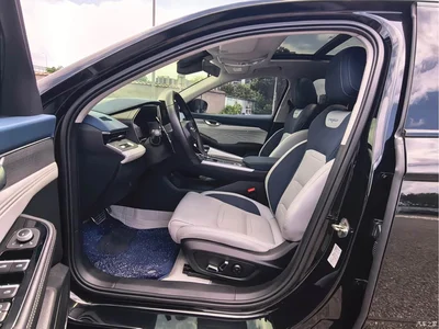 2021 Geely Xing Rui 2.0TD Premium, фото 4, лот 10359086