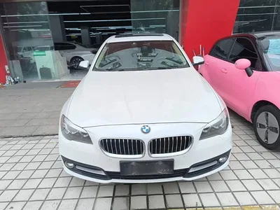 2014 BMW 5 Series 520Li Elegance, фото 3, лот 11012295