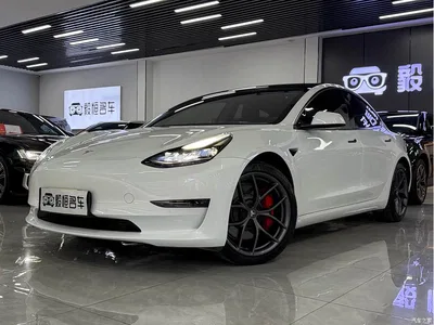 2021 Tesla Model 3 Performance High-Performance All-Wheel Drive, фото 1, лот 10360866