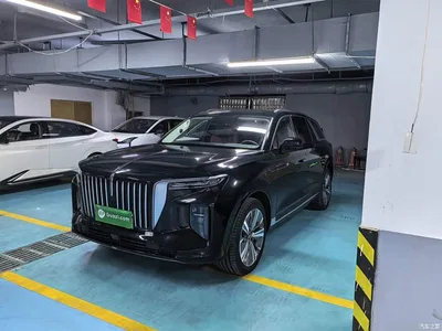 2022 Hongqi E-HS9 690km Qi Xiang Edition (6-seater), фото 1, лот 11449171