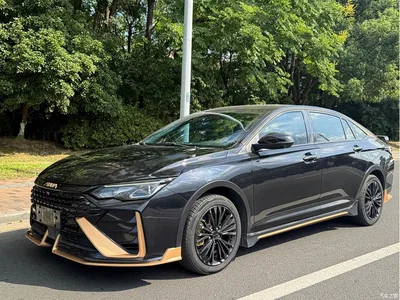 2021 Dongfeng Aeolus Yixuan MAX 1.5T Dark Night Dawn Edition, фото 1, лот 10829464