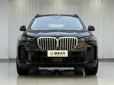 2025 BMW X5 Model xDrive 30Li Exclusive M Sport Blackout Package, фото 2, лот 10232189