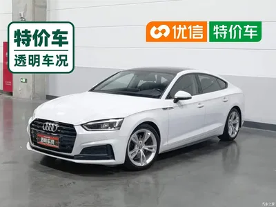 2019 Audi A5 (Import) Sportback 40 TFSI Fashion, фото 1, лот 10463565