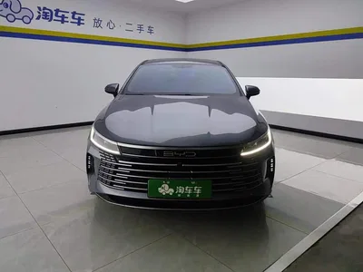 2024 BYD Destroyer 05 Glory Edition DM-i 55KM Luxury, фото 2, лот 10400403