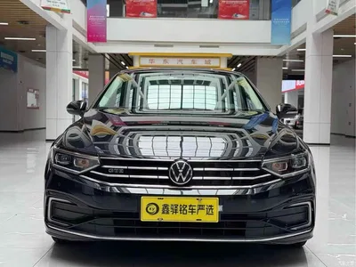 2020 Volkswagen Magotan GTE Plug-in Hybrid GTE Luxury, фото 2, лот 10409914