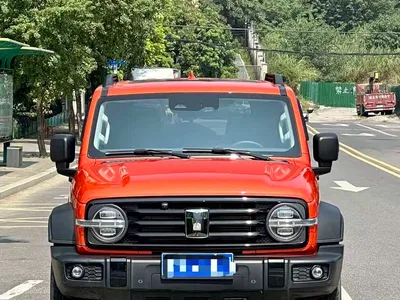 2024 Tank 300 Model 2.0T Challenger, фото 2, лот 11194740