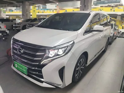 2021 GAC Trumpchi Trumpchi M8 Facelift Leading Series 390T Luxury Edition, фото 2, лот 10424140