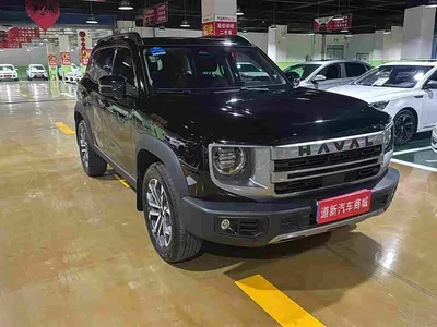 2024 Haval Big Dog 1.5T DCT Border Collie Edition, фото 2, лот 10361720