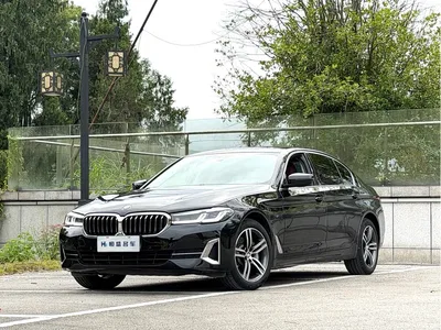 2022 BMW 5 Series 530Li Leading Luxury Package, фото 1, лот 11081258