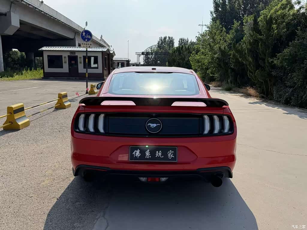 2019 Ford Mustang 2.3L EcoBoost, фото 3, лот 11215548