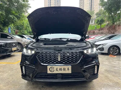 2020 WEY VV5 1.5T 2WD Smart Pioneer, фото 4, лот 11017693