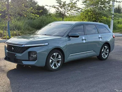 2021 Baojun Valli 1.5T Nagqu Starry Sky CVT Flagship Model, фото 1, лот 11499286