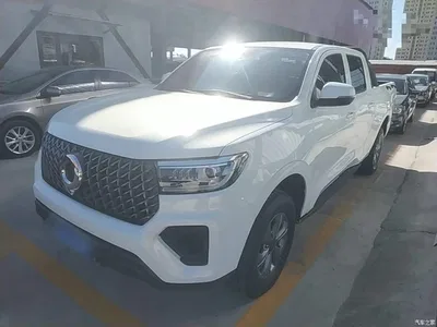 2023 Great Wall Pao 2.0T Commercial Automatic Gasoline 4WD Elite Long Box GW4C20B, фото 1, лот 11501913