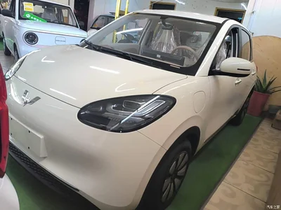 2025 Wuling Motors Wuling Bingo Model 333km Joy Edition, фото 1, лот 11097834