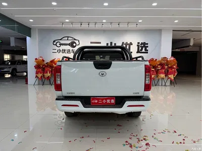 2021 Great Wall Pao 2.0T Commercial Edition Automatic Gasoline 4WD Elite Standard Box GW4C20B, фото 4, лот 11535190