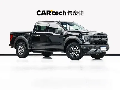 2023 Ford F-150 Raptor 3.5T Raptor, фото 3, лот 10294476