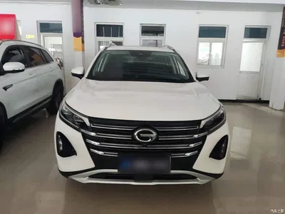 2021 GAC Trumpchi Trumpchi GS4 270T Auto Exclusive, фото 3, лот 10422222