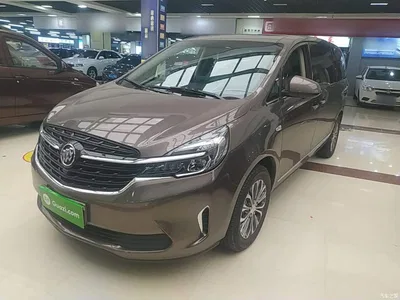 2022 Buick GL8 Land Business Class 652T Luxury, фото 1, лот 10674782