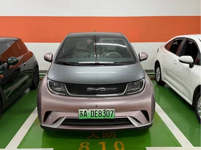 2021 BYD Dolphin Model 405km Fashion Edition, фото 2, лот 10254008