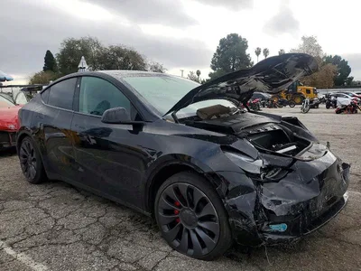 2025 TESLA MODEL Y, фото 4, лот 10857528