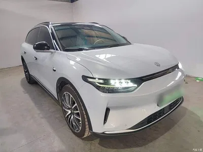 2021 Leapmotor C11 Model Premium Edition, фото 4, лот 10606282