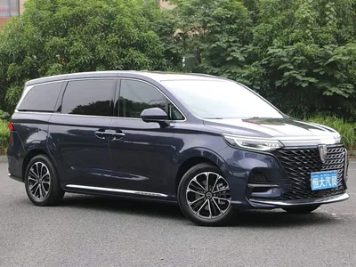 2021 Roewe iMAX8 400TGI Supreme Series Honor, фото 2, лот 10342732