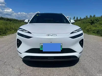 2025 BYD Sealion 06 New Energy DM-i 170 Pilot Pro Edition, фото 2, лот 10274015