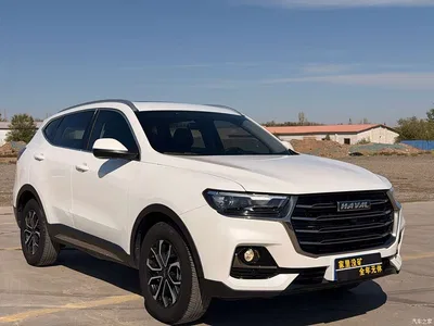 2021 Haval H6 National Trend Edition 1.5T Automatic Urban Edition, фото 3, лот 11104177