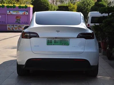 2023 Tesla Model Y Rear-Wheel Drive Edition, фото 4, лот 10585745