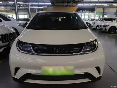 2024 BYD Dolphin Glory Edition 420km Freedom Edition, фото 3, лот 10260382