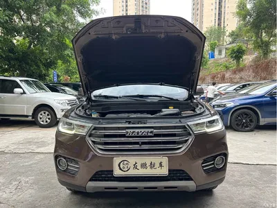 2017 Haval H6 Blue Label 1.5T Automatic 2WD Smart Style, фото 4, лот 10297267
