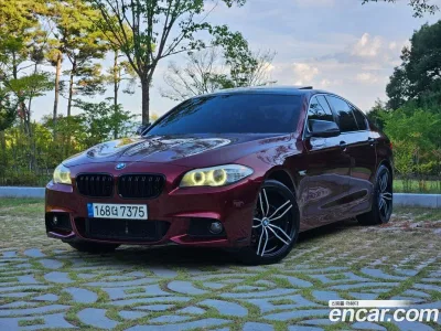 2010 BMW 5-Series 520d, фото 1, лот 10179167