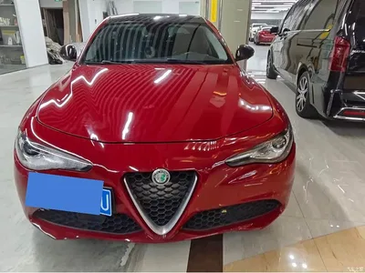 2017 Alfa Romeo Giulia 2.0T 280HP Luxury Edition, фото 2, лот 11228141