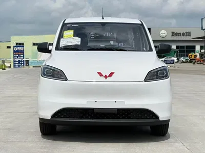 2024 Wuling Motors Wuling Hongguang New Energy Pure Electric 300KM Standard, фото 3, лот 11167498