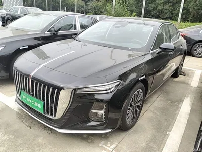 2025 Hongqi H5 2.0T Automatic Flag Celebration 500,000 Units Anniversary Edition, фото 1, лот 10666819