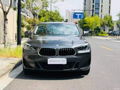 2022 BMW X2 sDrive25i M Sport Package, фото 4, лот 10400454