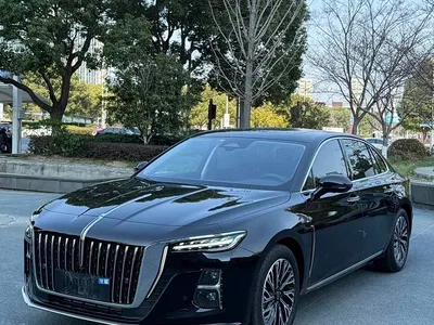 2023 Hongqi H5 2.0T Auto Smart Connect Flag Enjoy, фото 1, лот 11218145