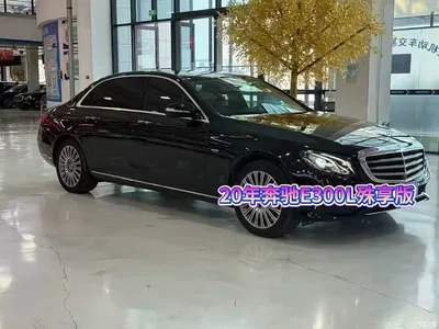 2020 Mercedes-Benz E-Class Facelift E 300 L Exclusive, фото 3, лот 10266776