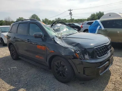 2025 KIA TELLURIDE SX-PRESTIGE X-PRO, фото 4, лот 10775826