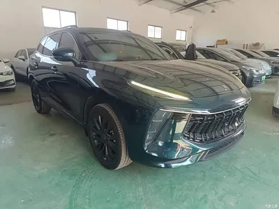 2021 Dongfeng Fengxing T5 EVO 1.5TD DCT Starlight Edition, фото 4, лот 11146324