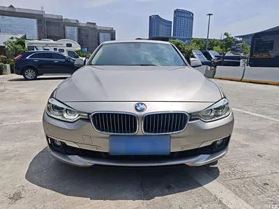 2018 BMW 3 Series 320Li Fashion Style, фото 3, лот 10458100
