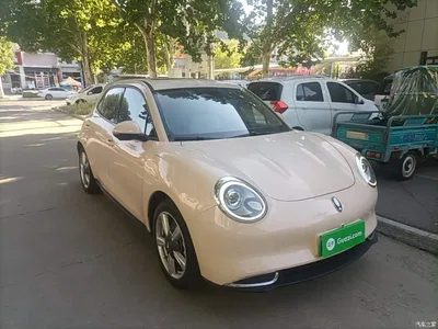 2021 Ora Good Cat 400km Standard Range Venus Edition (LFP), фото 4, лот 10898542