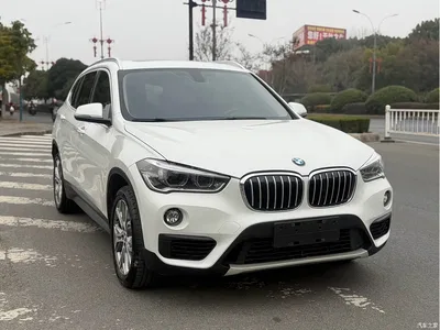 2019 BMW X1 sDrive20Li Leading Model, фото 2, лот 10465863