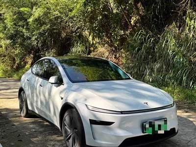 2025 Tesla Model Y Rear-Wheel Drive, фото 2, лот 11570821